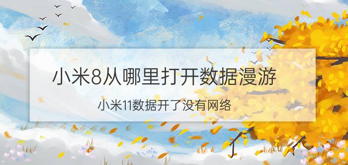 小米8从哪里打开数据漫游 小米11数据开了没有网络？